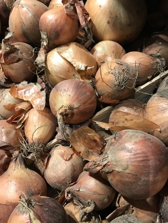 Ferme des Tilleuls